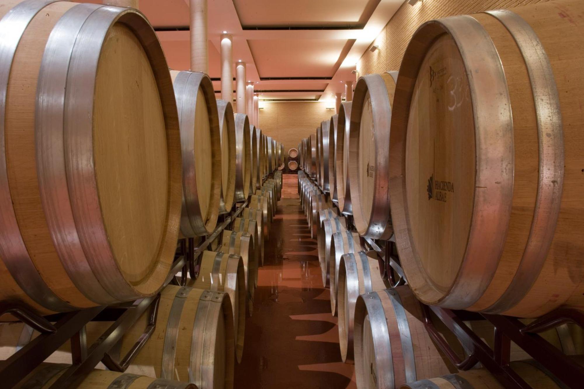 Bodegas Hacienda Albae Vendégház Argamasilla de Alba Kültér fotó